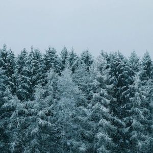 Meet your Posher, Ell